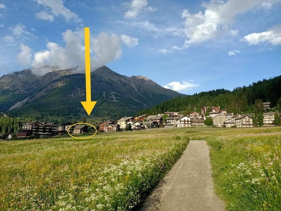 Villa Costa Da Lori Cogne Eksteriør bilde